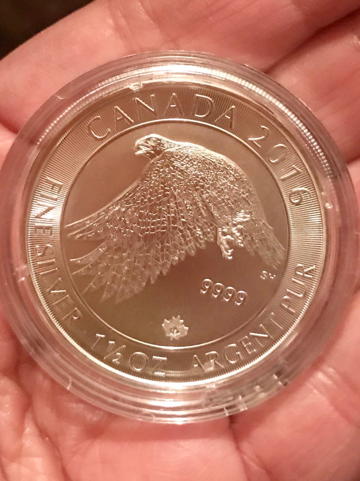 Detail Silver Snow Falcon Coins Nomer 26