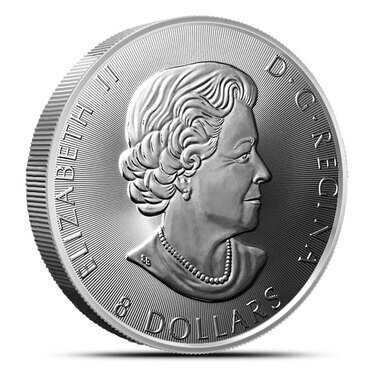 Detail Silver Snow Falcon Coins Nomer 41