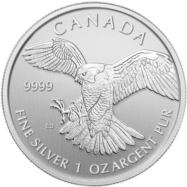 Detail Silver Snow Falcon Coins Nomer 43