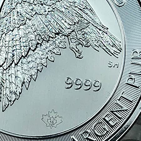 Detail Silver Snow Falcon Coins Nomer 44