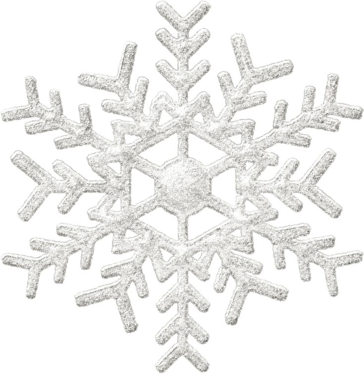 Detail Silver Snowflake Png Nomer 16