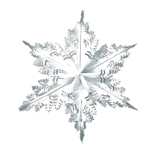 Detail Silver Snowflake Png Nomer 25