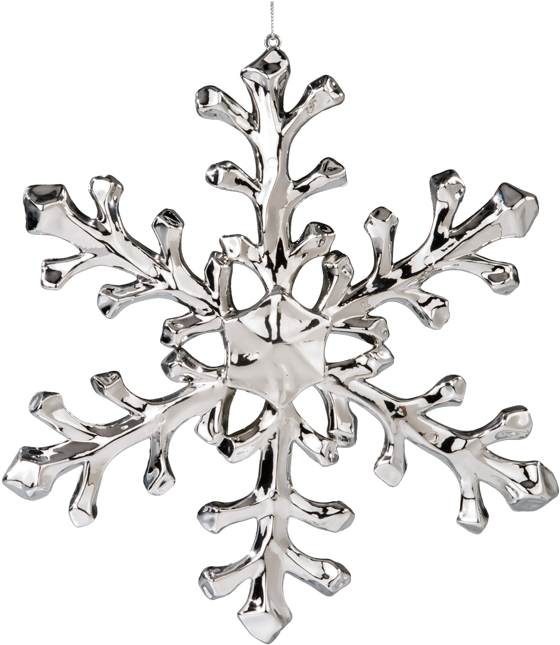 Detail Silver Snowflake Png Nomer 41