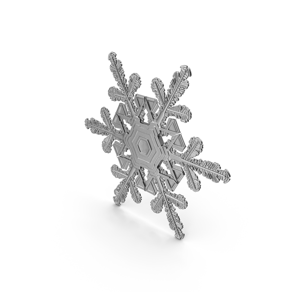 Detail Silver Snowflake Png Nomer 54