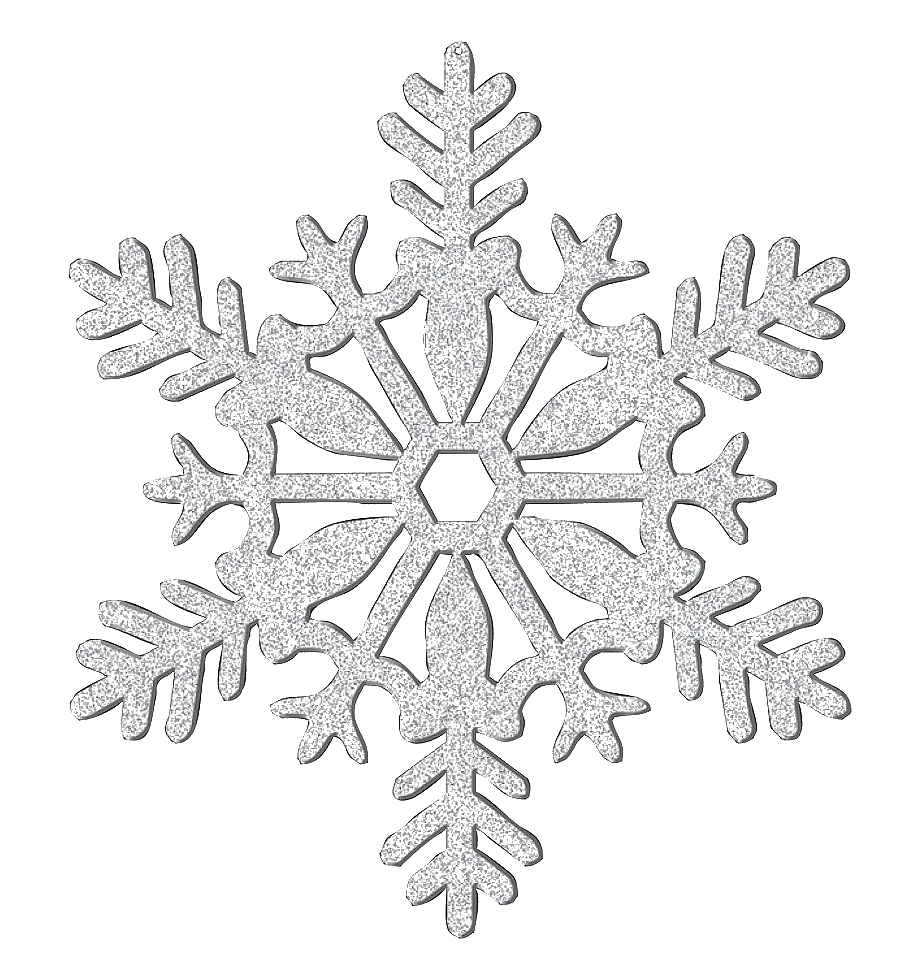 Detail Silver Snowflakes Png Nomer 3