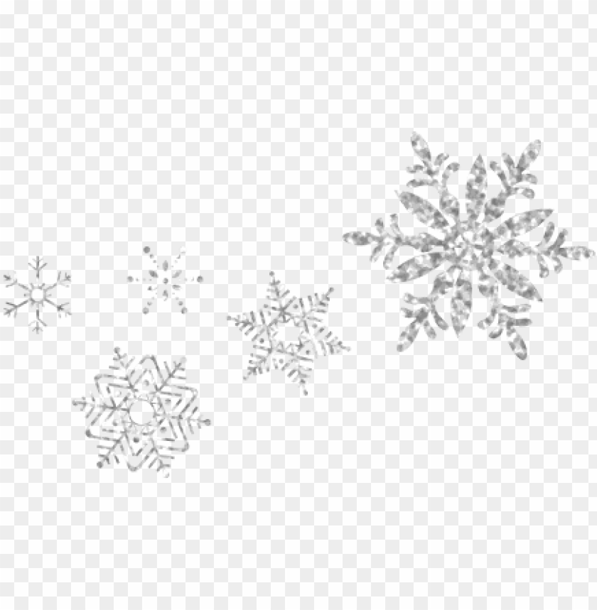 Detail Silver Snowflakes Png Nomer 5