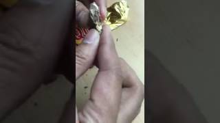 Detail Silverqueen Ada Ulatnya Nomer 28