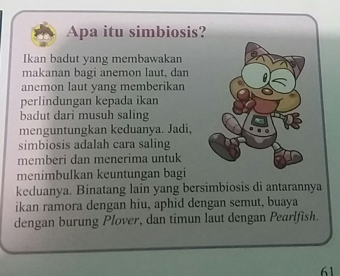Detail Simbiosis Ikan Badut Dan Anemon Laut Koleksi Nomer 30