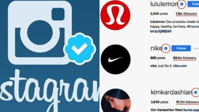 Detail Simbol Centang Biru Di Instagram Nomer 24