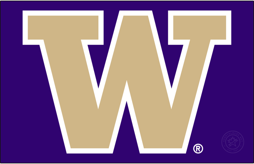 Detail Washington Huskies Logo Png Nomer 10