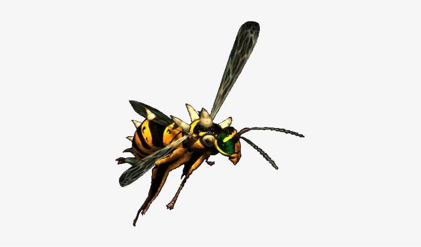 Detail Wasp Download Nomer 33