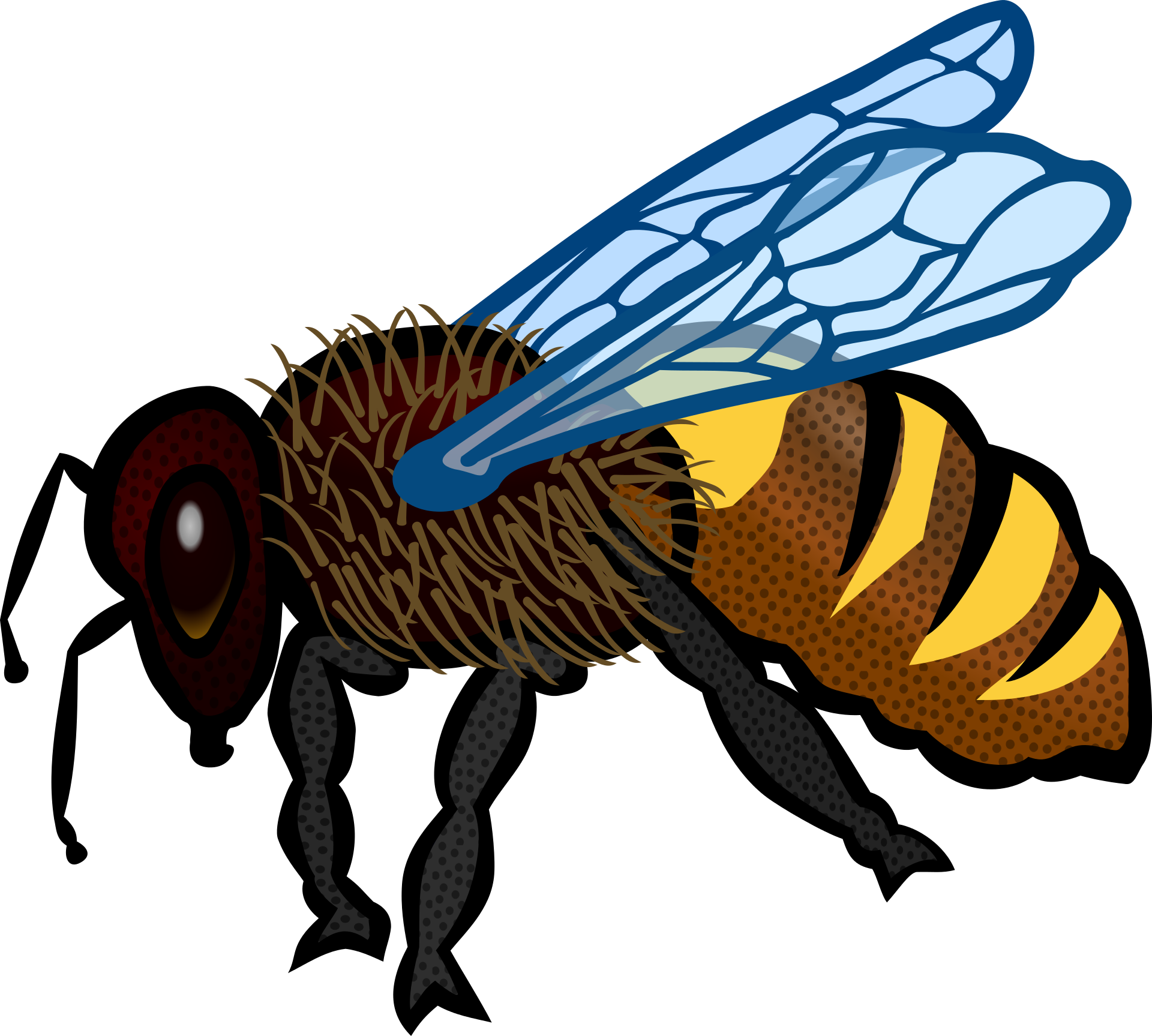 Detail Wasp Download Nomer 35