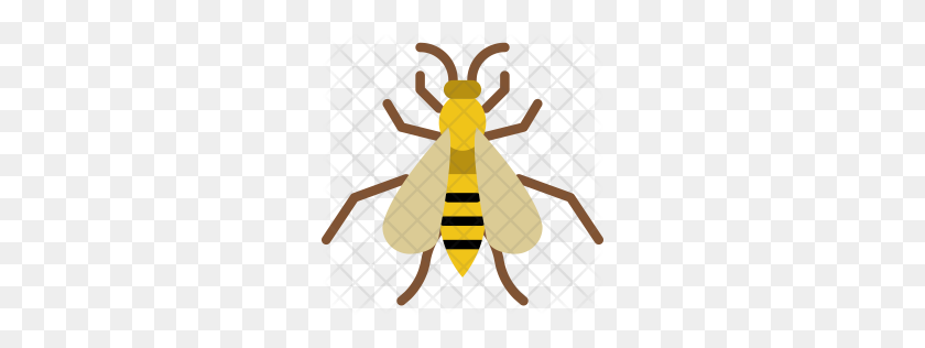 Detail Wasp Download Nomer 41