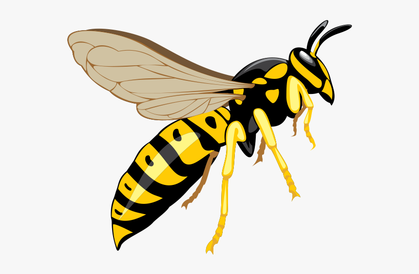 Detail Wasp Download Nomer 10