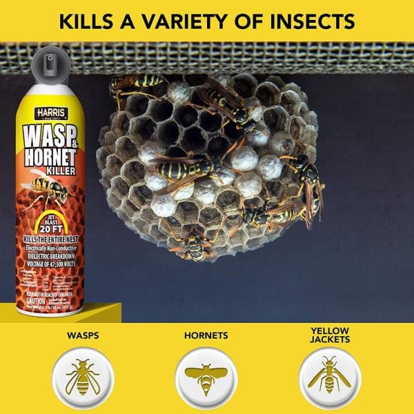 Detail Wasp Nest Barcode Nomer 46