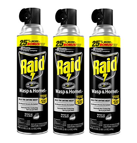 Detail Wasp Nest Barcode Nomer 58