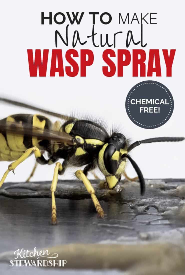Detail Wasp Nest Ebay Nomer 32