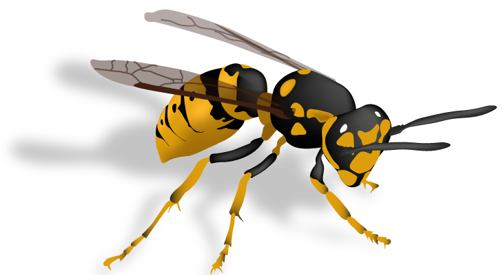 Detail Wasp Transparent Background Nomer 24