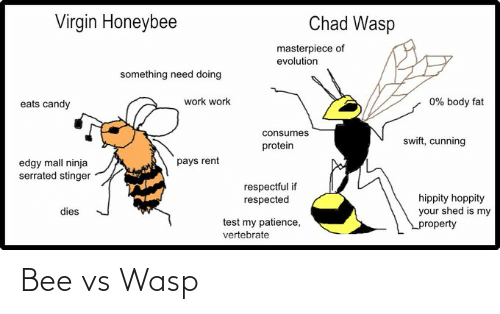 Hey Im Bee Tits