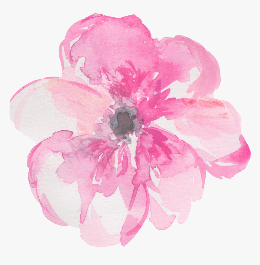 Detail Water Color Flower Png Nomer 51