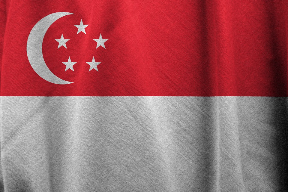 Detail Simbol Negara Singapura Nomer 44