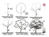 Detail Simbol Pohon Arsitektur Nomer 6