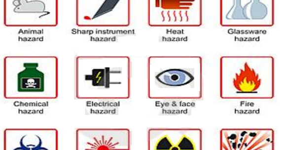 Detail Simbol Simbol Bahaya Di Laboratorium Nomer 25