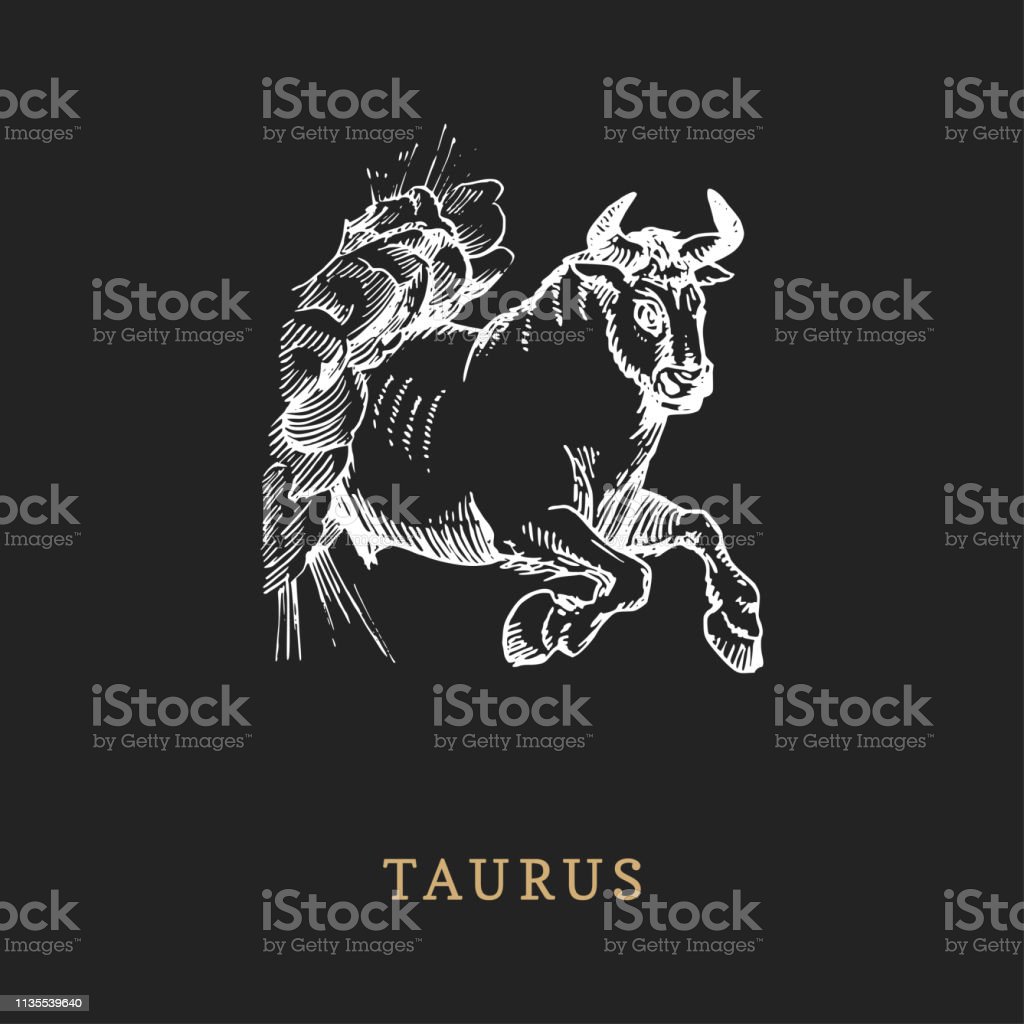 Detail Simbol Zodiak Taurus Nomer 38