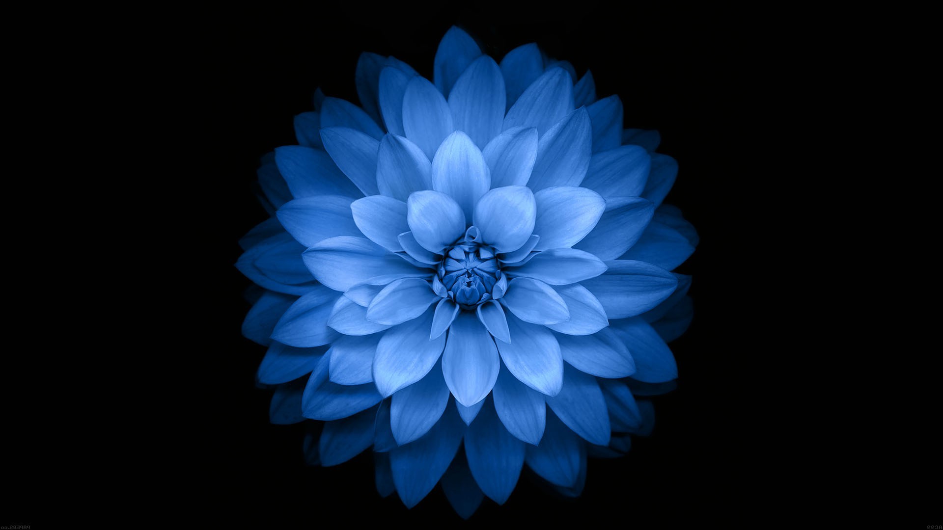 Detail Simple Background Hd Nomer 49