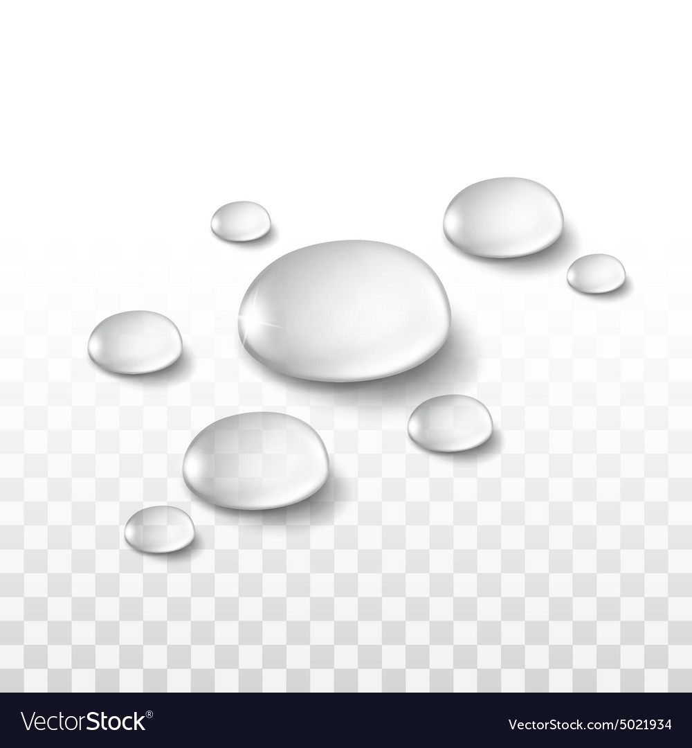 Detail Water Drop Transparent Background Nomer 37