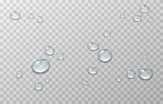 Detail Water Drop Transparent Background Nomer 41