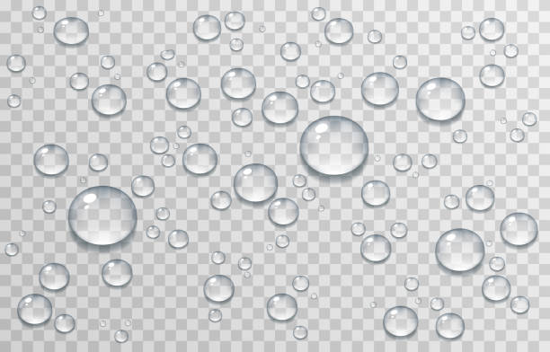 Detail Water Droplets Png Nomer 14