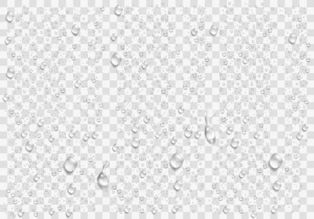 Detail Water Droplets Png Nomer 55