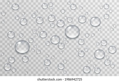 Detail Water Drops Png Nomer 31