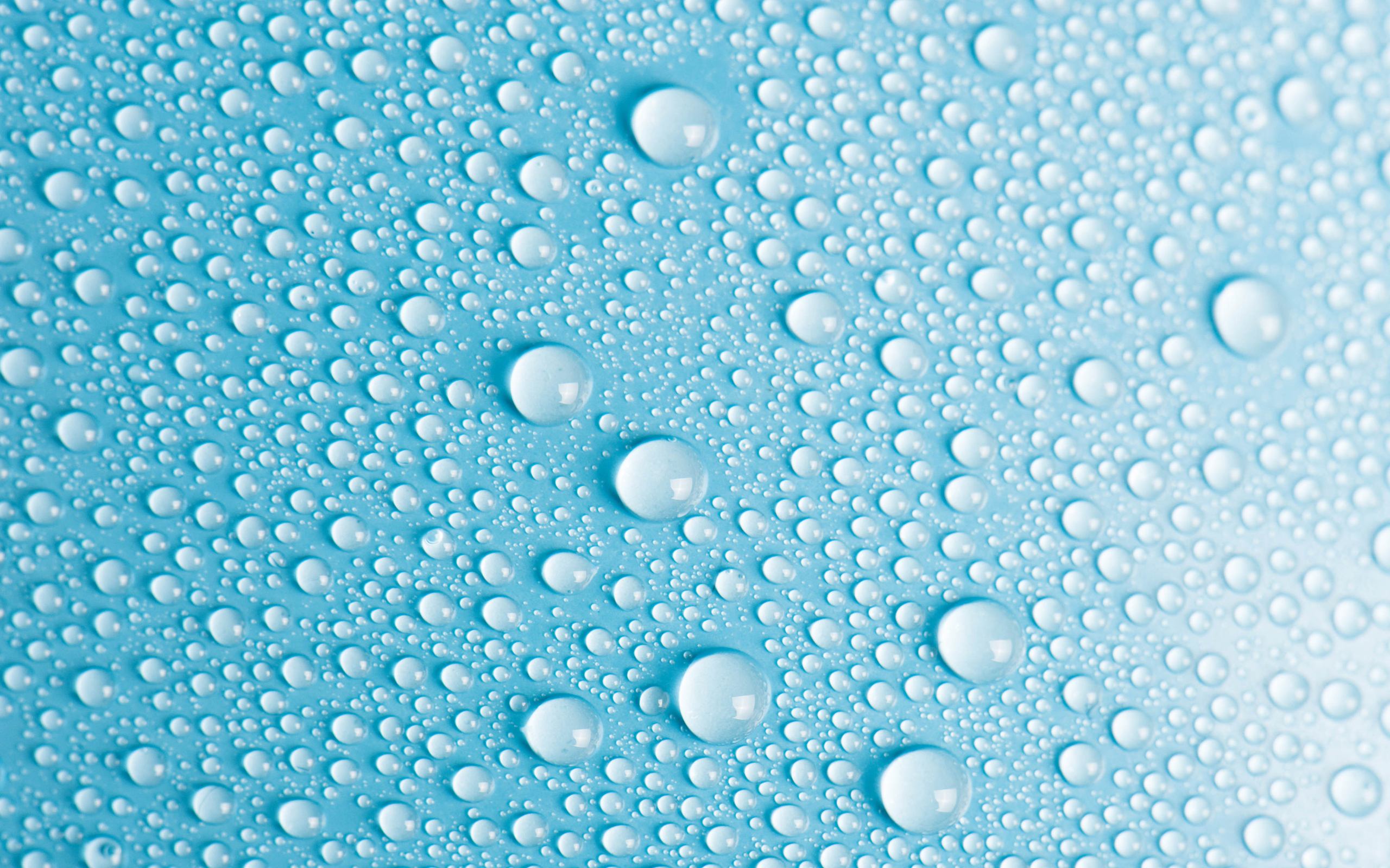 Detail Water Drops Wallpaper Nomer 24