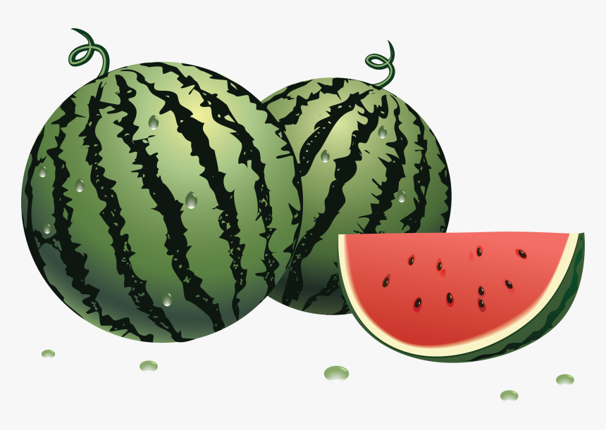 Detail Water Melon Clipart Nomer 40