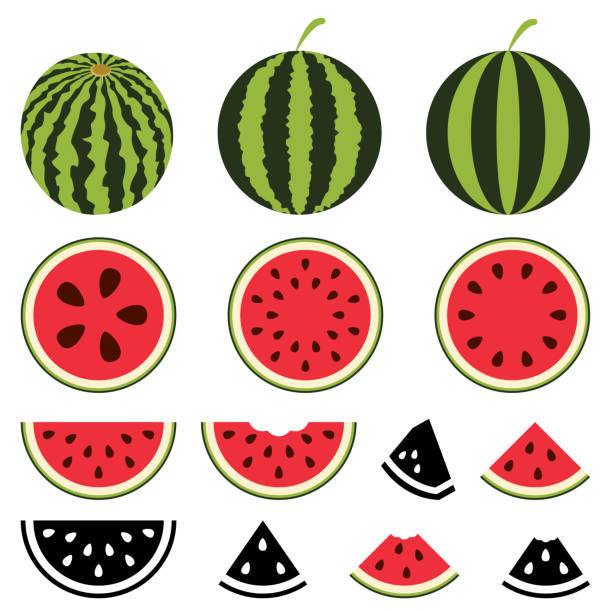 Detail Water Melon Clipart Nomer 53