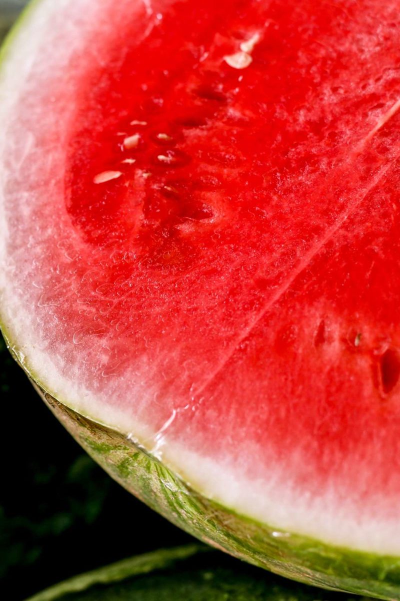 Detail Water Melon Images Nomer 42