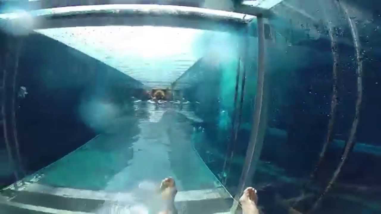 Water Slide Shark Gopro - KibrisPDR