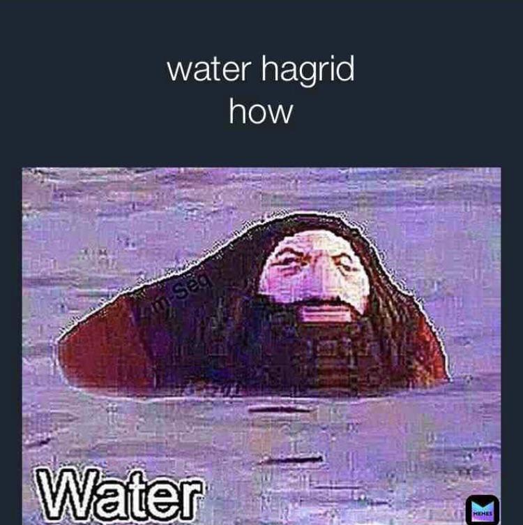 Detail Water Water Meme Nomer 23