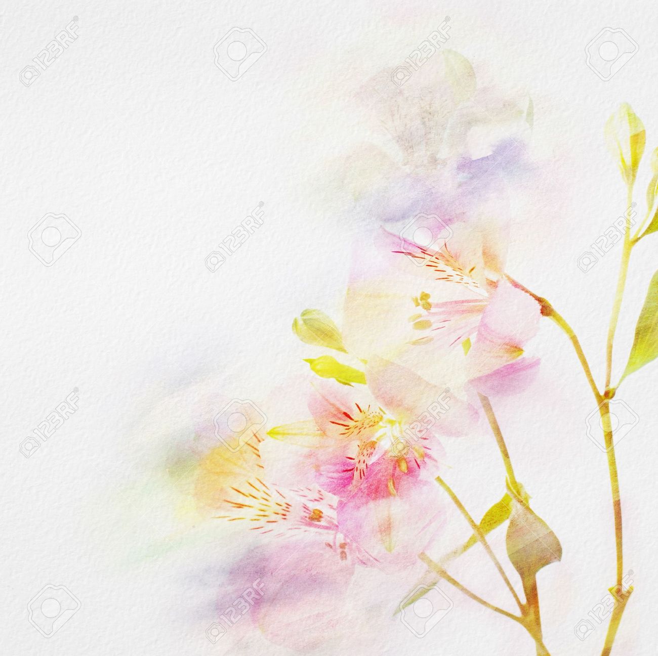 Detail Watercolor Flower Background Nomer 37