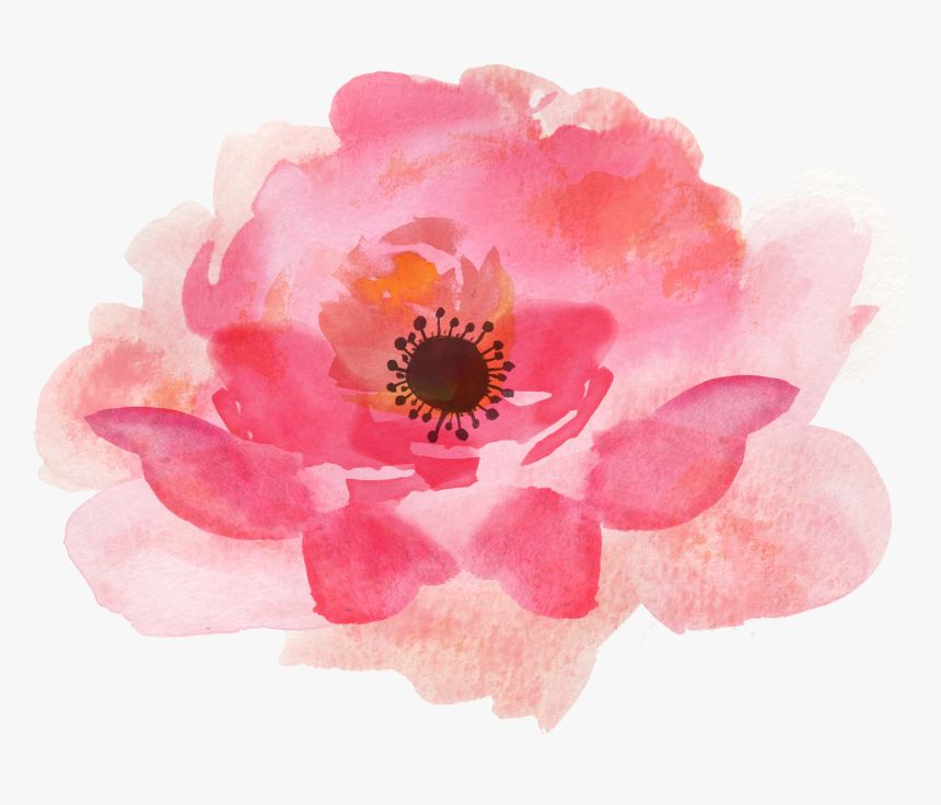 Detail Watercolor Flower Background Png Nomer 34