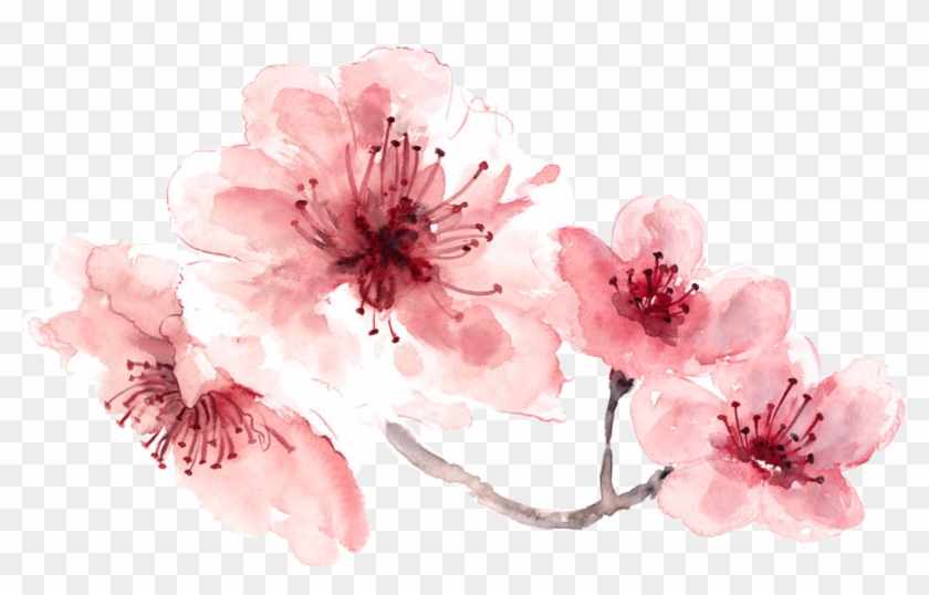 Detail Watercolor Flowers Png Nomer 26