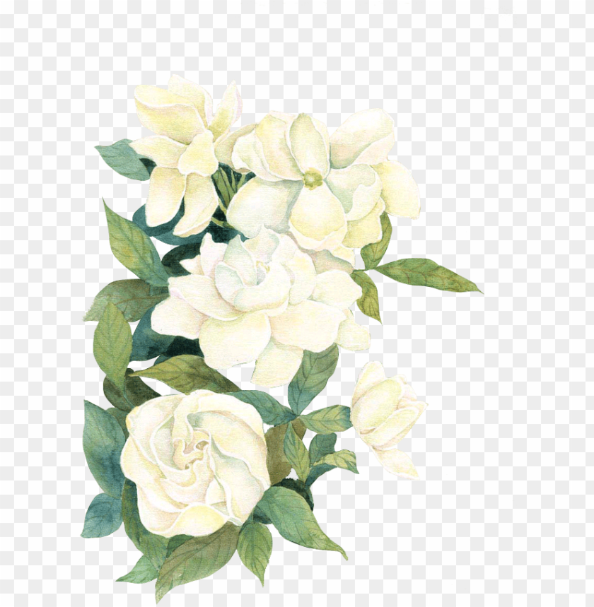 Detail Watercolor Flowers Png Nomer 46