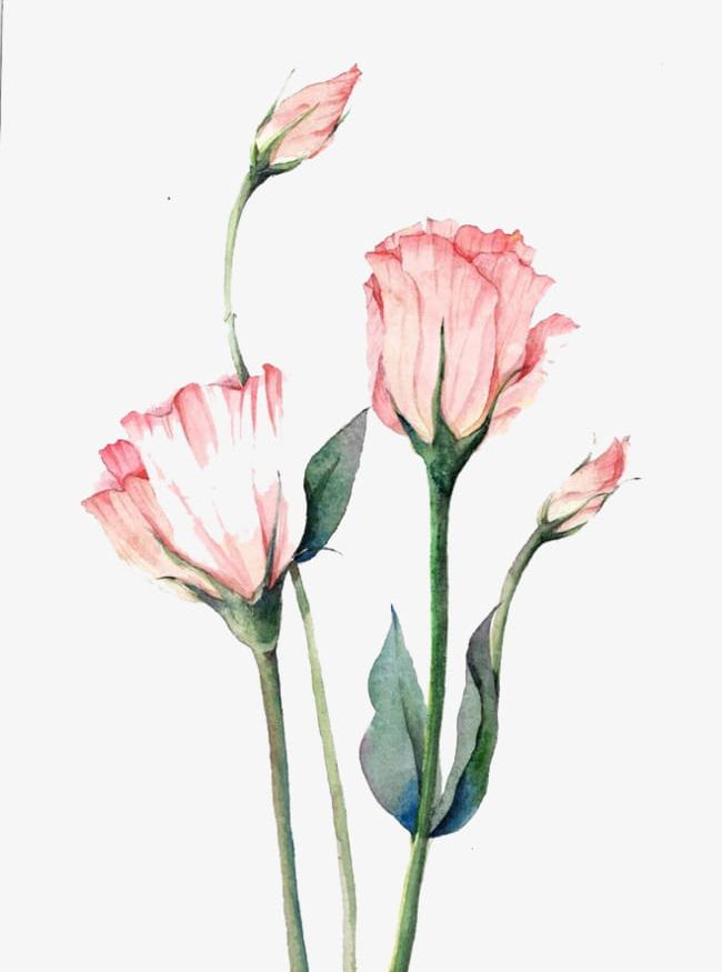 Detail Watercolor Flowers Png Nomer 48
