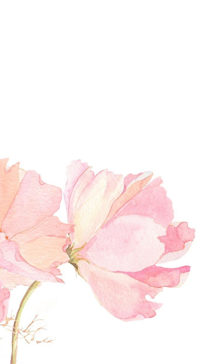 Detail Watercolour Flower Background Nomer 27