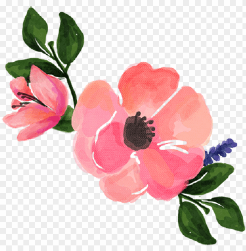 Detail Watercolour Flower Png Nomer 19