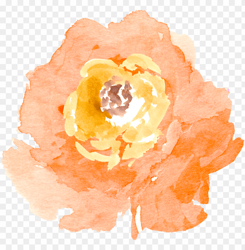 Detail Watercolour Flower Png Nomer 51