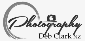 Detail Watermark Photography Logo Png Nomer 50