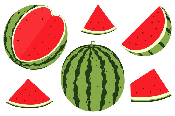 Detail Watermellon Clip Art Nomer 55